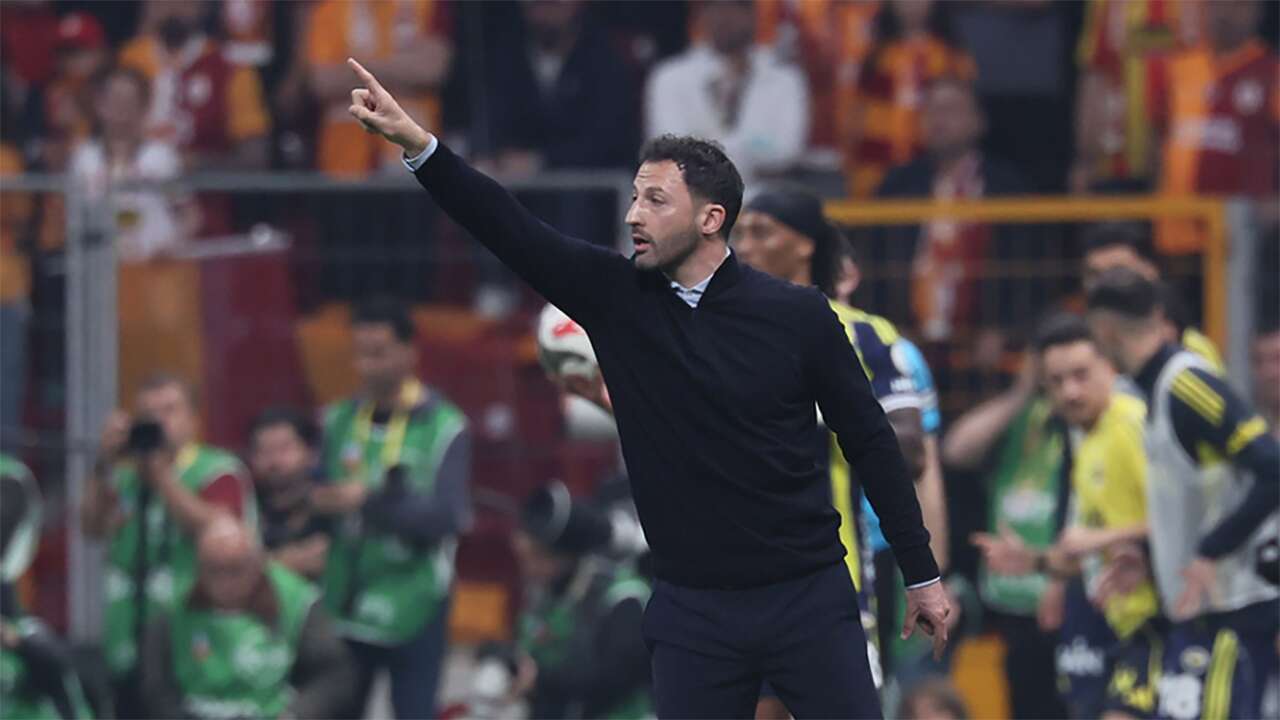 Domenico Tedesco'nun Fenerbahçe karnesi