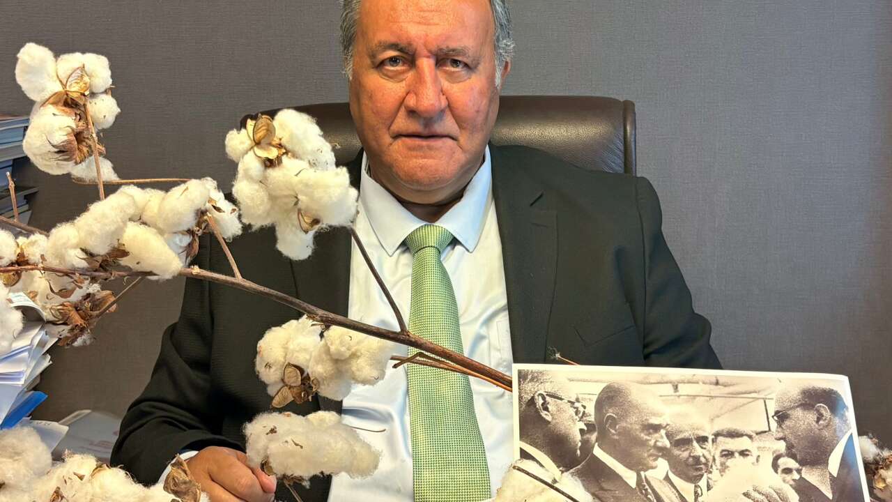 Pamukta alarm: Üretim düşüyor, ithalat artıyor