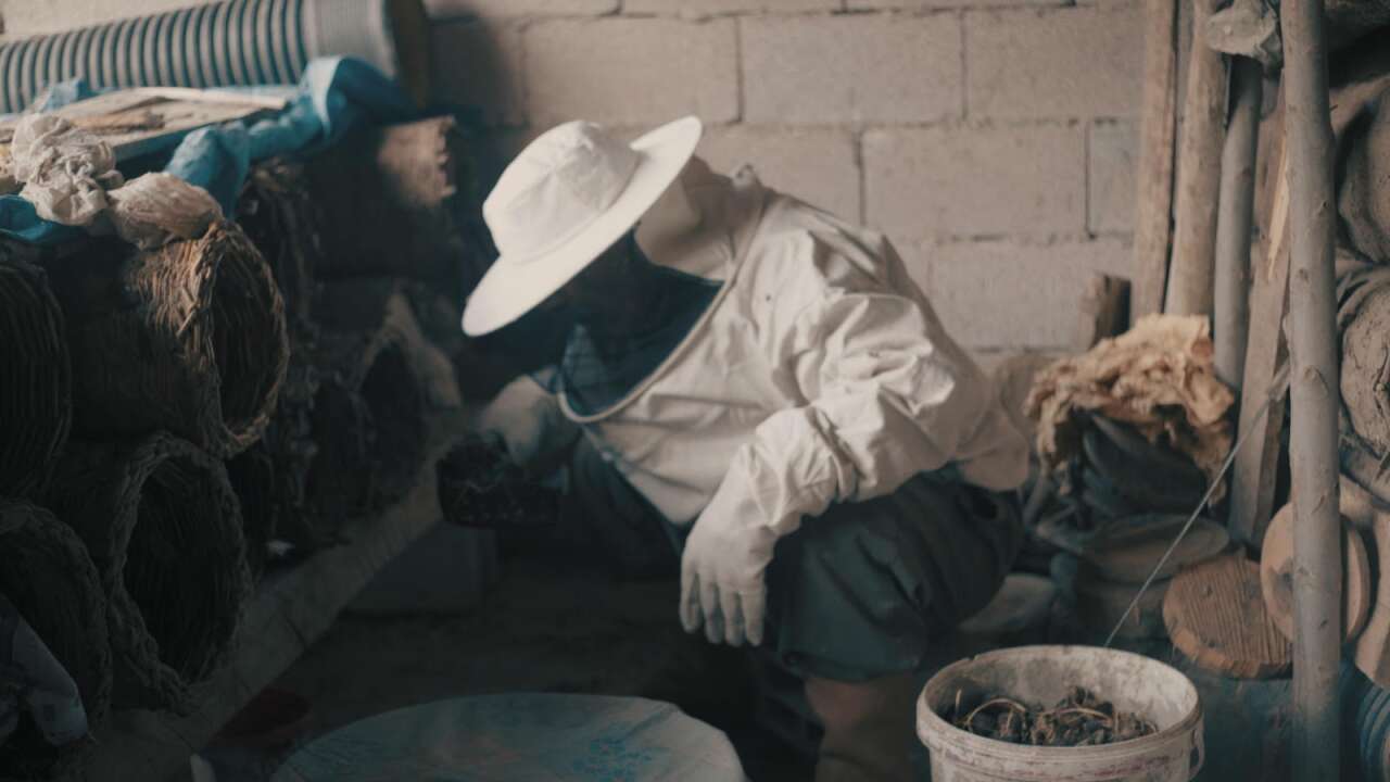 Pera Müzesi’nde ücretsiz film programı: Toprağa ve emeğe sinemayla bakış