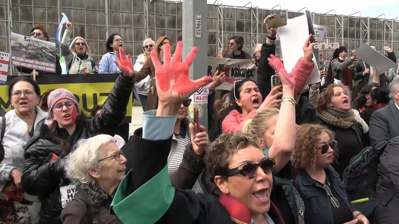 İstanbul Valiliği'nden 'sokak hayvanları' açıklaması: 'Rehavet ya da geri adım söz konusu olamaz'