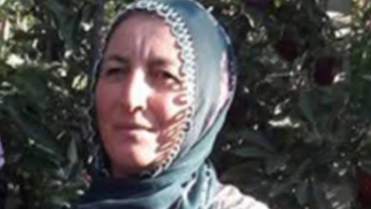 1 Mayıs'ta bir iş cinayeti daha! Üzerine ağaç devrilen kadın hayatını kaybetti