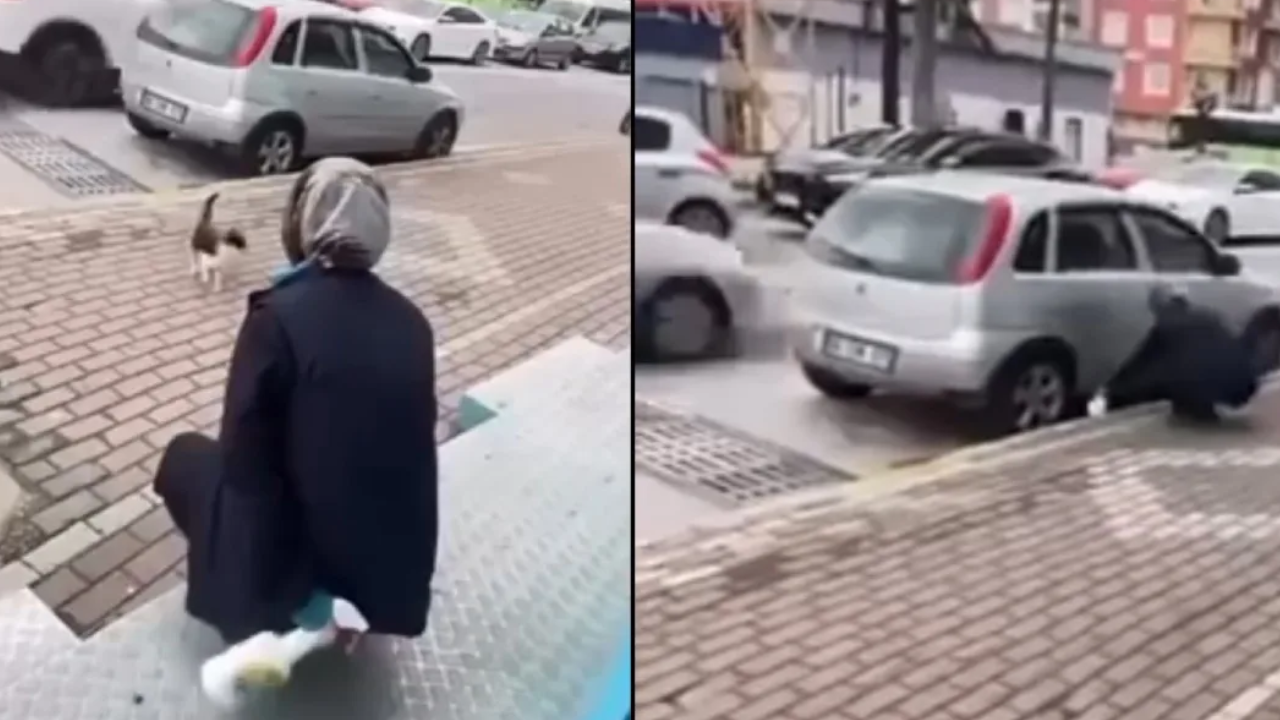 'Gel annem gel' diye çağırdı: Kediye yağ çözücü sıkan kişi gözaltına alındı