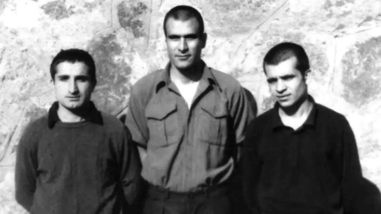 Darağacında üç fidan