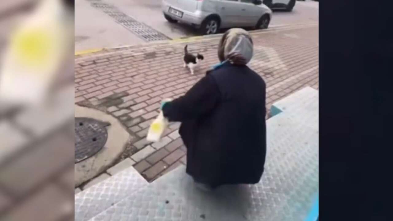 Kediye yağ çözücü sıkan market çalışanı serbest bırakıldı