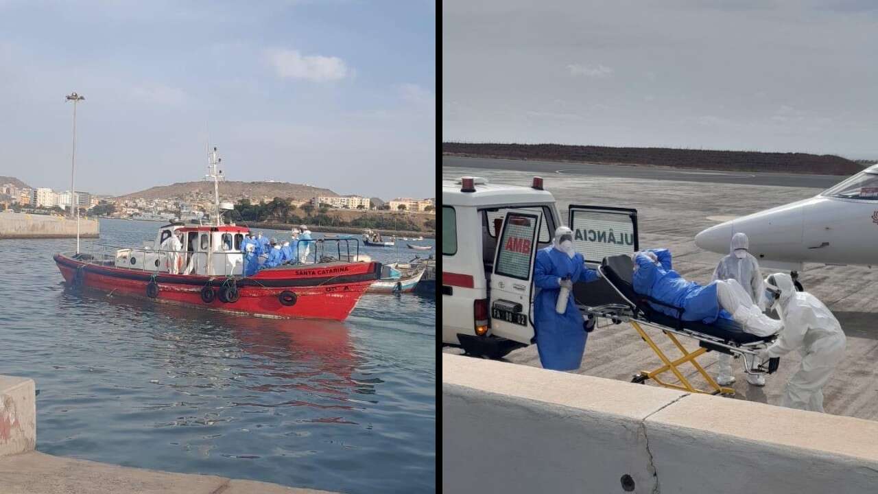 DSÖ Başkanı'ndan hantavirüs açıklaması: Genel halk sağlığı için risk düşük seviyede
