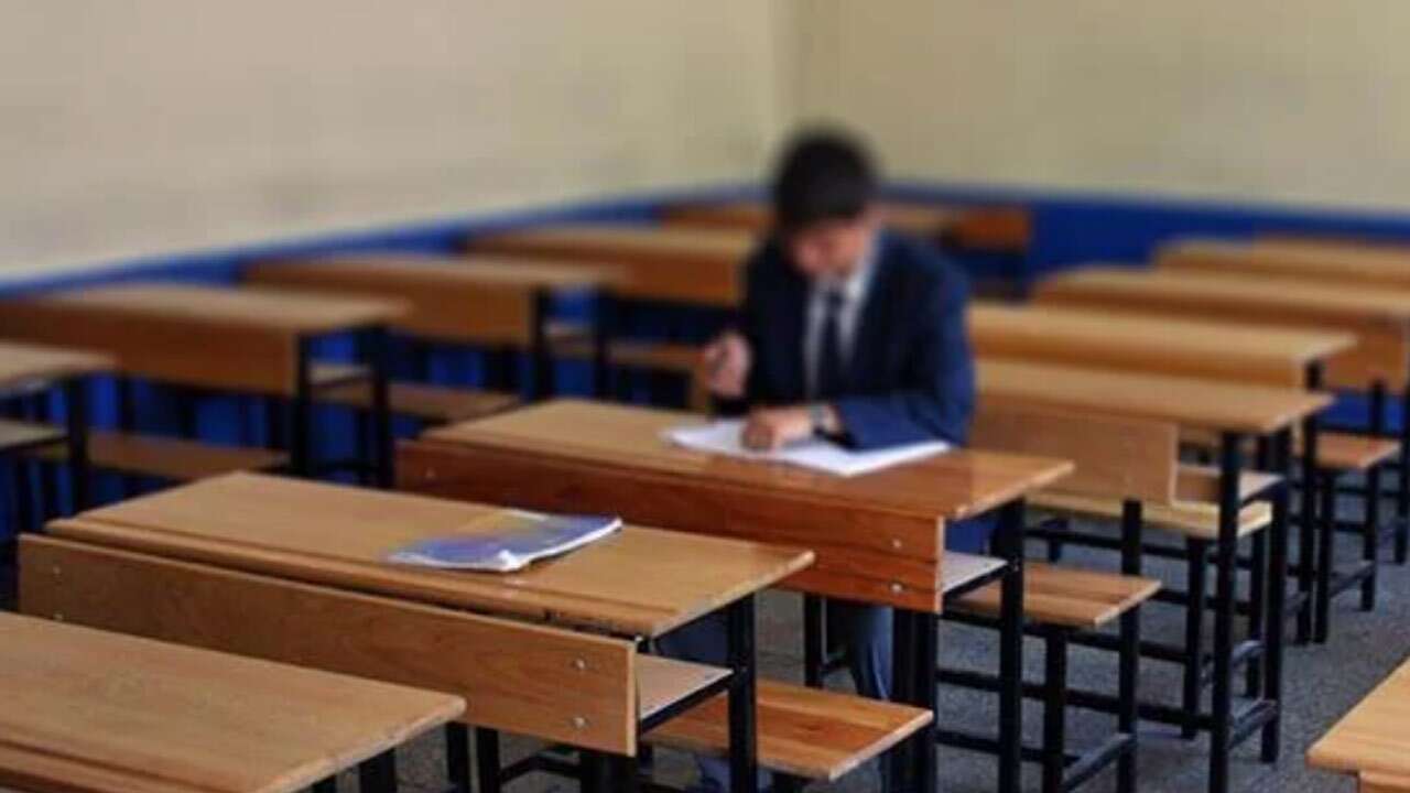 Ortaokulda yüzde 23,7’si ilkokulda ise her 10 çocuktan 1’i okulda değil!