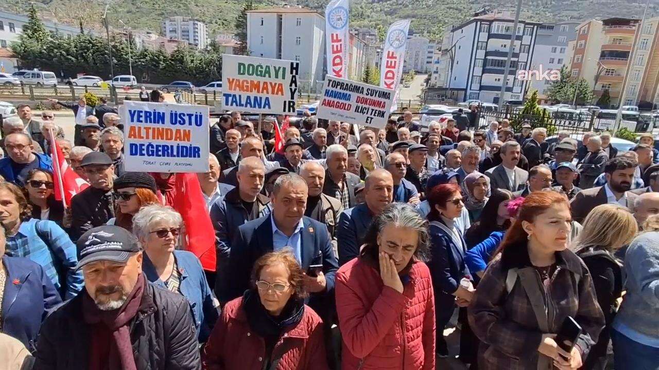 Tokat'ta maden sahasına karşı köylüler direndi ve kazandı: 60 bin ağaç kurtuldu