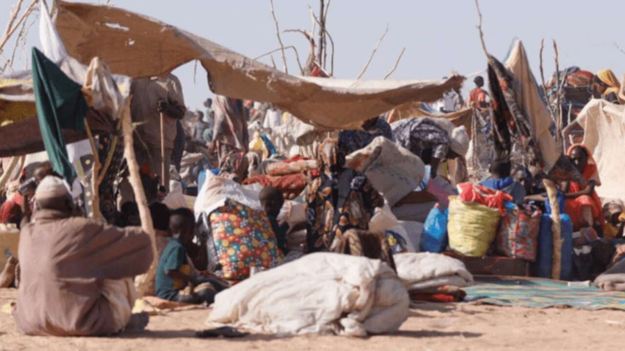 Birleşmiş Milletler: Sudan'da 19,5 milyon kişi akut gıda güvensizliği yaşıyor