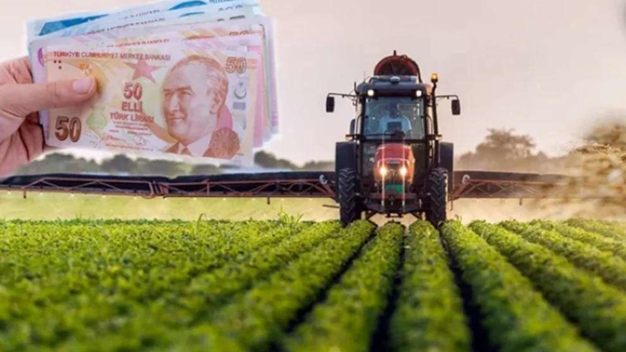 TÜİK: Tarımsal girdi fiyat endeksi yüzde 34,26 arttı