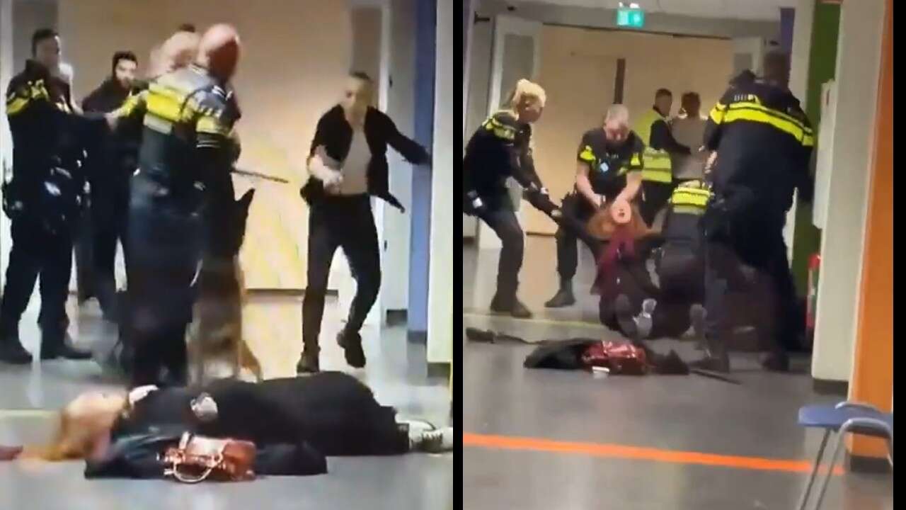 Hollanda'da kadına polis şiddeti tepki çekti: Soruşturma açıldı