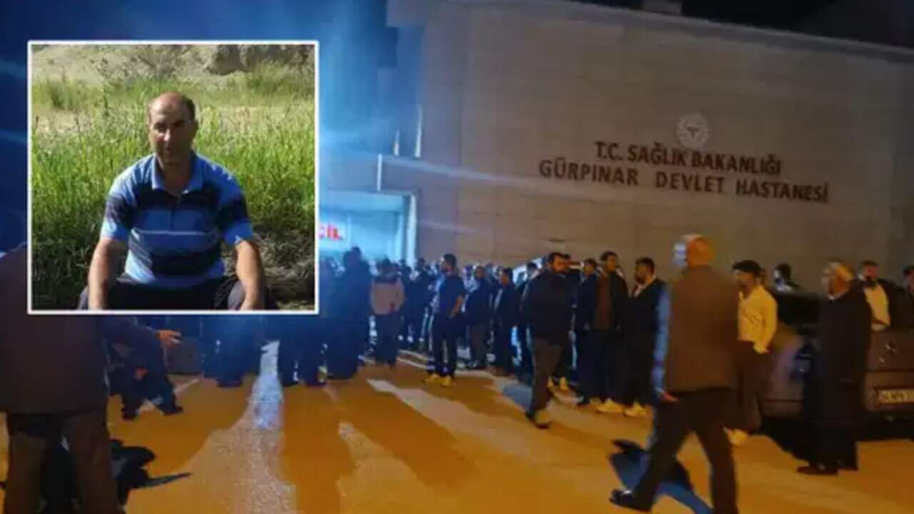 Otomobil çarptı çoban öldü: Sürücü AK Partili başkanın kızı