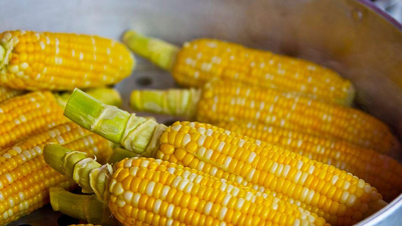Lokum Gibi Haşlanmış Mısır Yapmanın Sırrı Ortaya Çıktı! Bu Yöntemi Deneyen Vazgeçemiyor