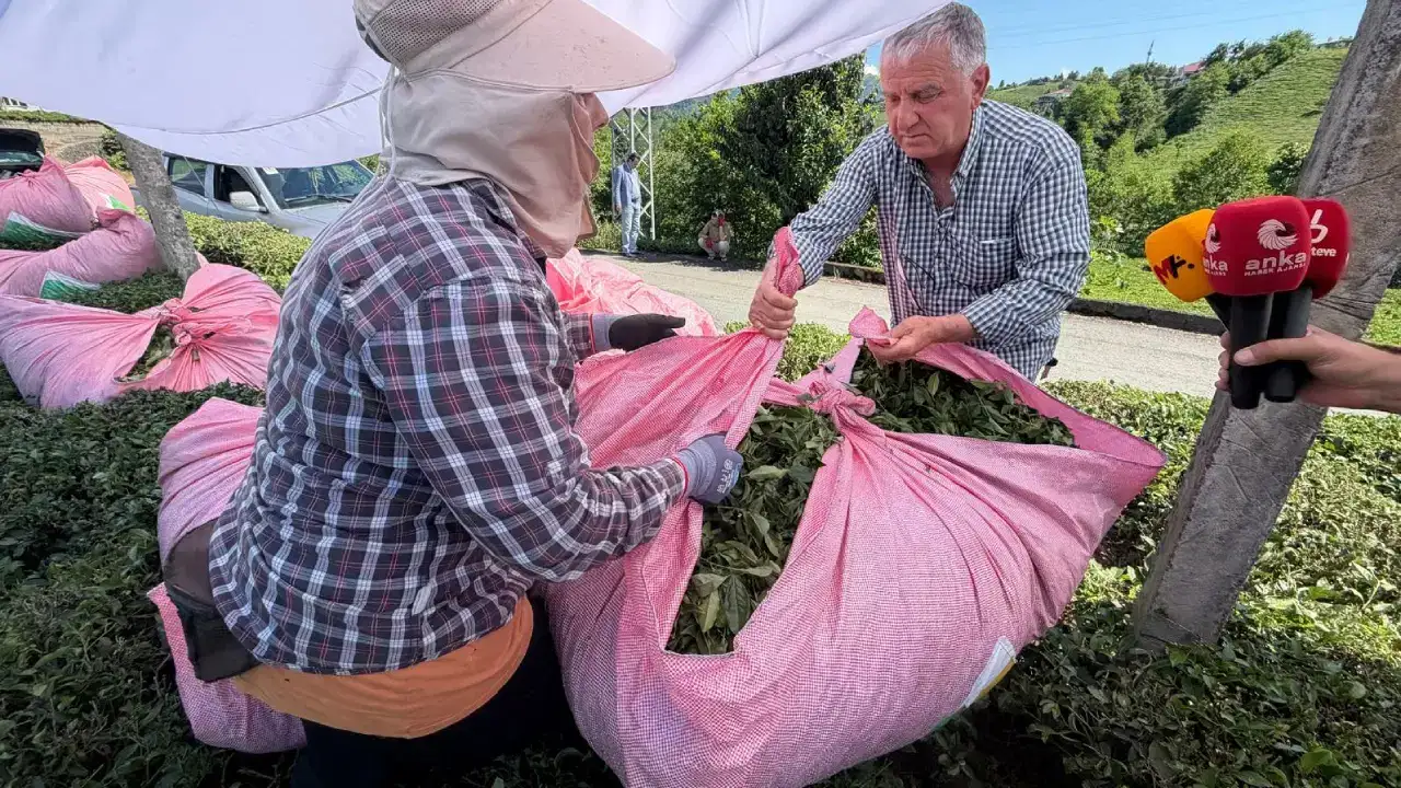 Erdoğan’ın hemşehrileri isyan etti: 1 kilo çayla 2 ekmek bil