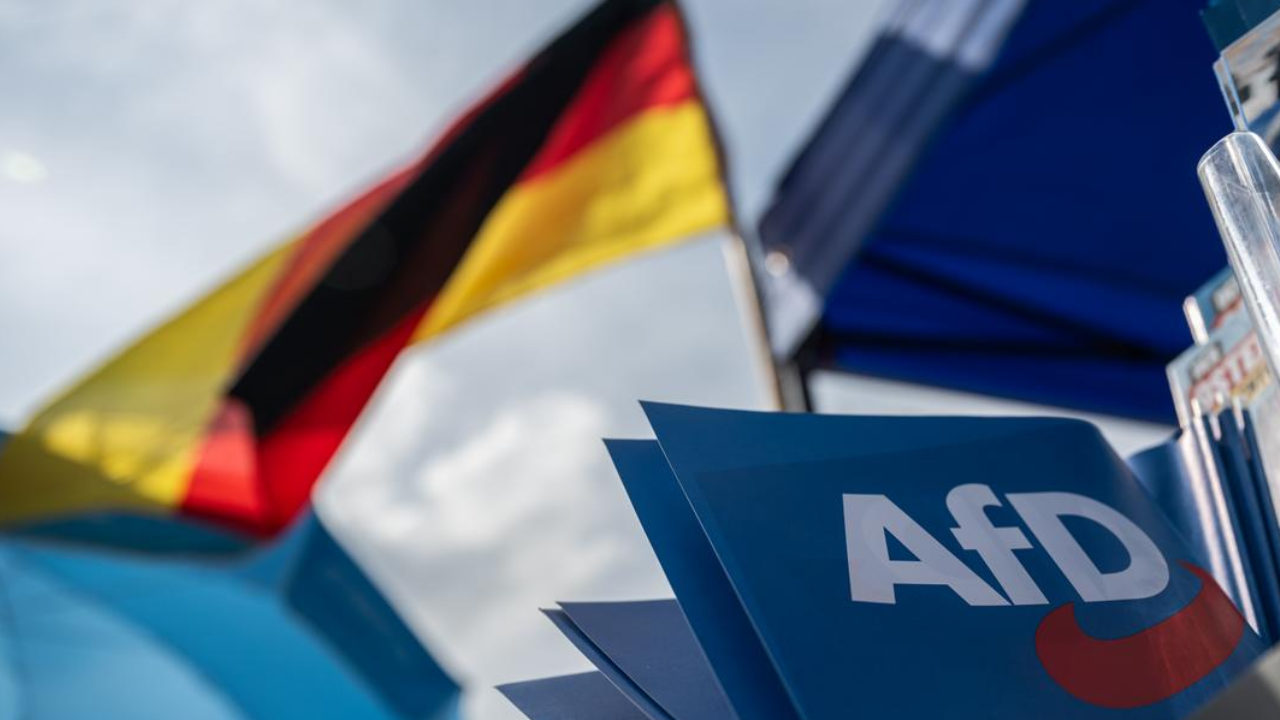 Almanya'da AfD’nin seçmen potansiyeli rekor seviyede