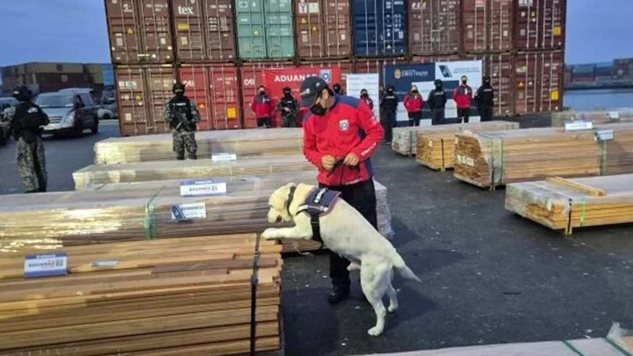 Tarihin en büyüğü: 100 ton uyuşturucu yakalandı