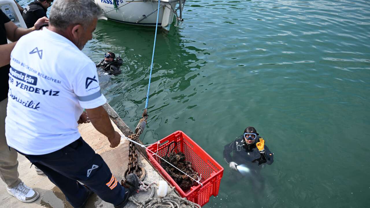 Mersin'de deniz dibinden lastik ve market sepeti çıktı