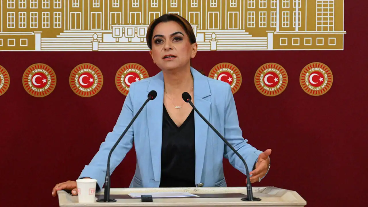 DEM Partili Koçyiğit'ten 'mutlak butlan' açıklamas