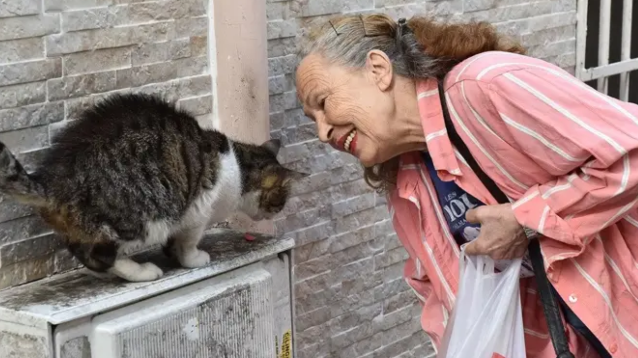 Panter Emel kimdir?