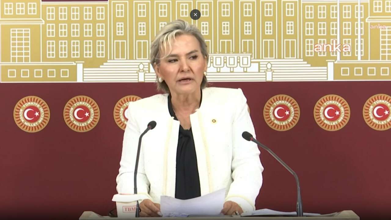 Nimet Özdemir kimdir?