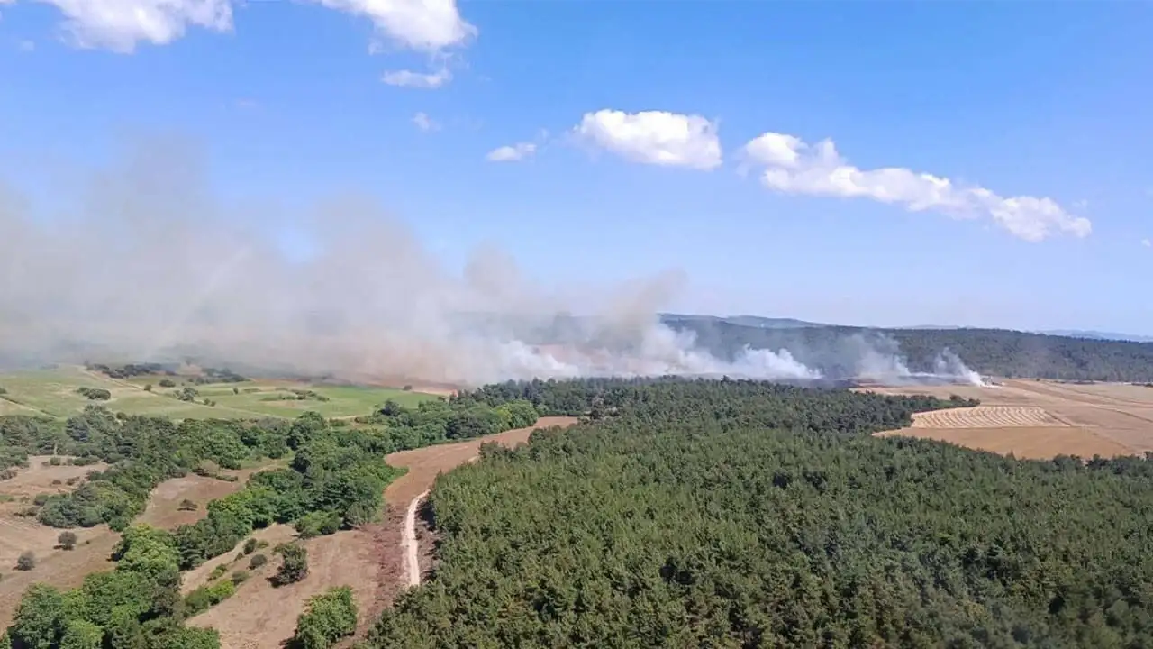 Çanakkale'de korkutan orman yangını