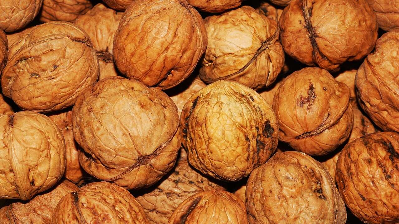 Ceviz Nasıl Faydalar Sağlar? İşte Düzenli Tüketildiğinde Vücuda Katkıla
