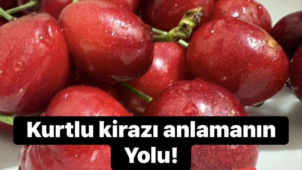 Kirazdaki Kurtçuk Sorununa Pratik Çözüm! Bu Yöntemle Meyveleri Çöpe Atmanıza Gerek Kalmıyor