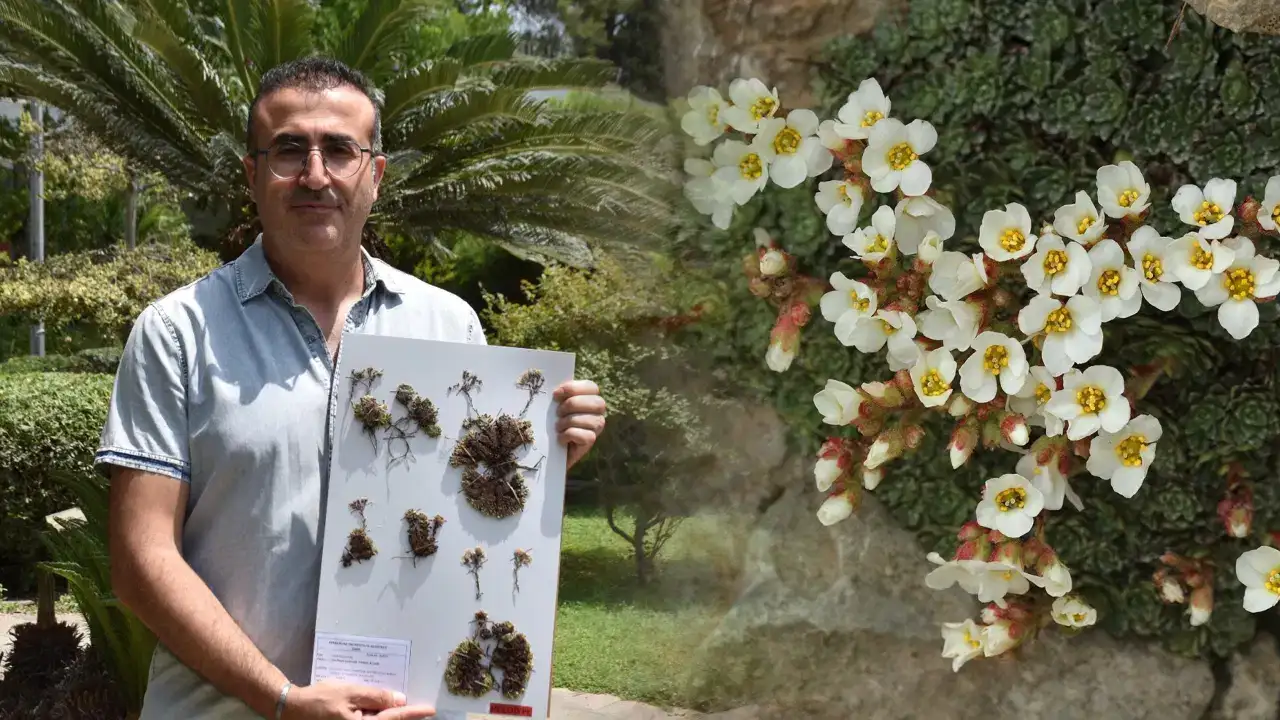 Çiçeği yeni keşfetti, eşinin adını verdi