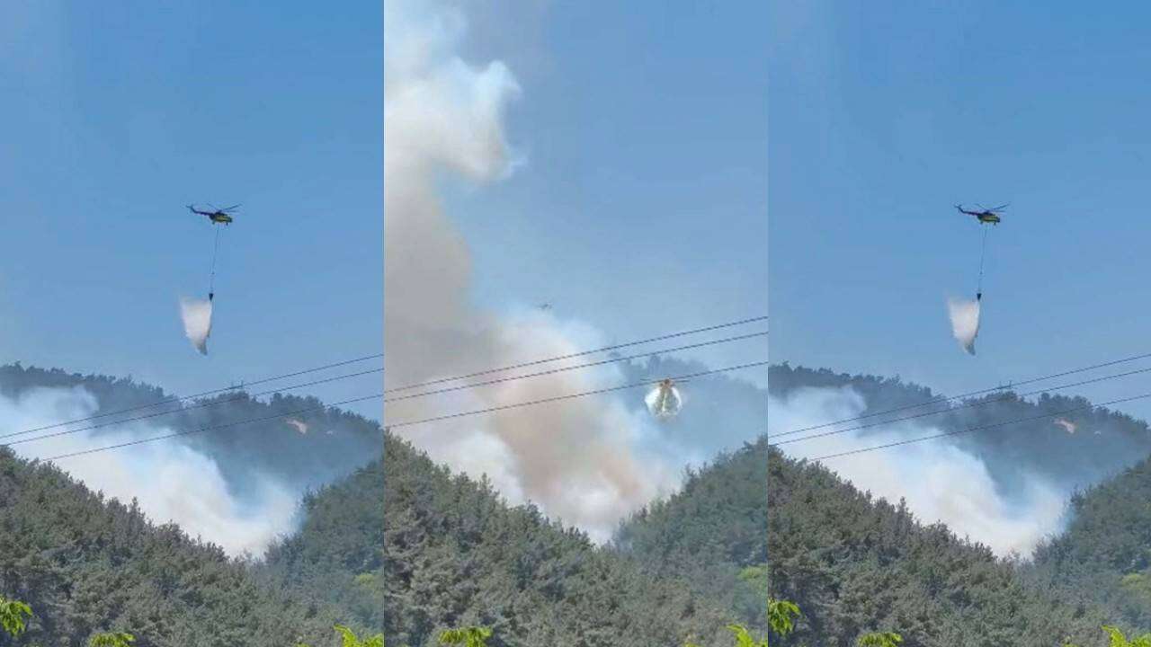 Soma'da orman yangını