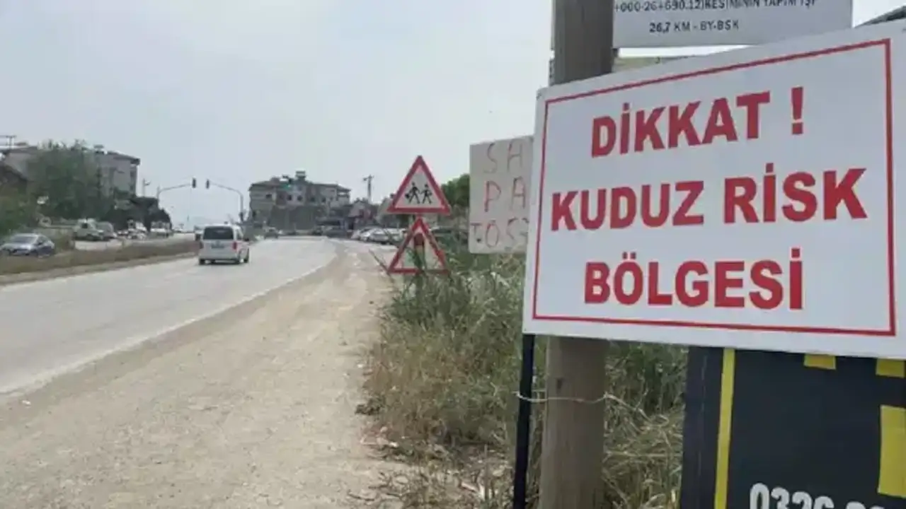 Kuduz alarmı: 7 mahalle karantinaya alındı