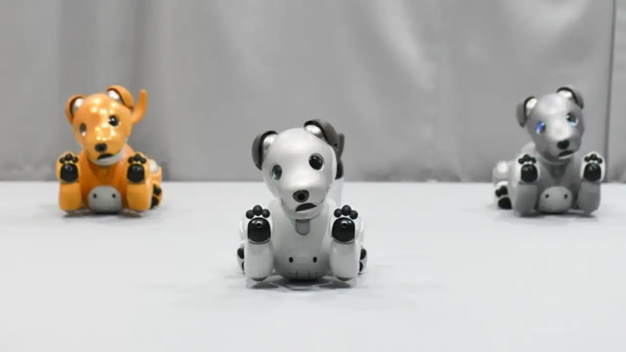 Efsane robot köpek Aibo'nun satışı durduruldu