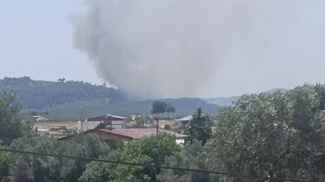 Muğla'da tarım arazisinde çıkan yangın ormana sıçradı