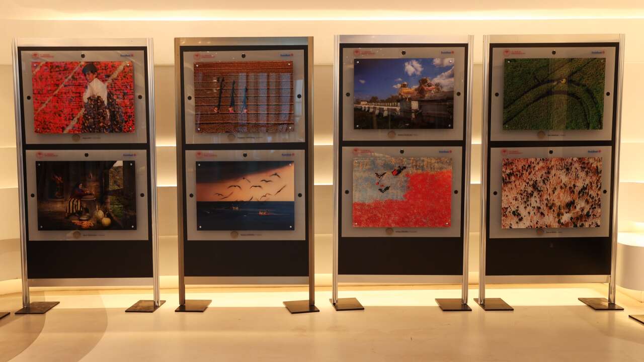 Tarım, orman ve insanın hikâyesi Galeri Deniz'de