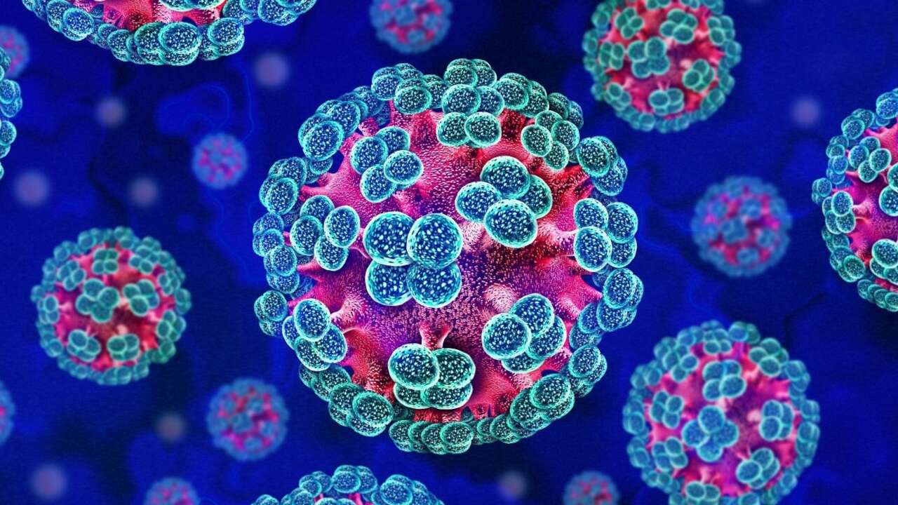 Dünya Sağlık Örgütü: Hanta virüsü salgını sona ermek üzere