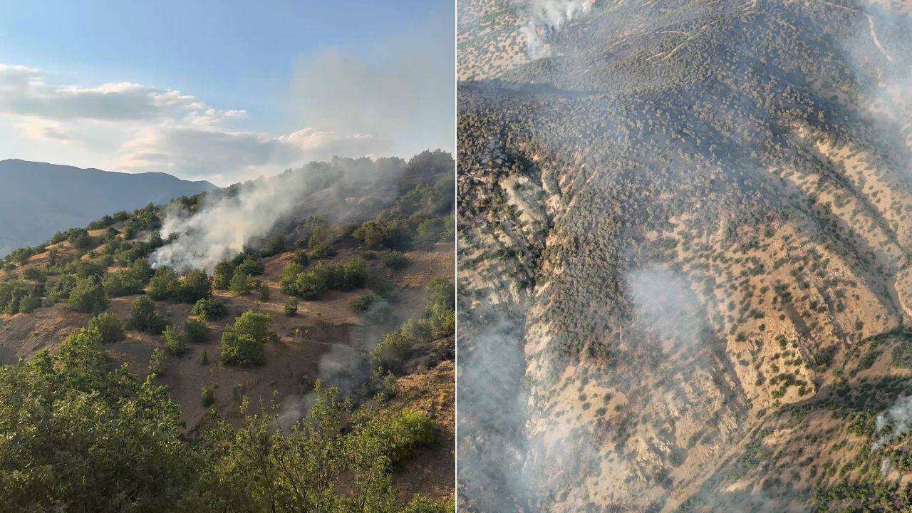 Malatya'da orman yangını 21 saat sonra kontrol altında