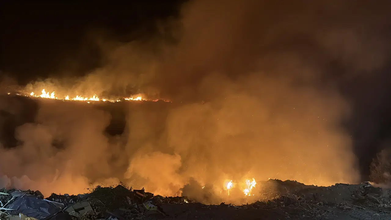 Bodrum gece yarısı alevlere teslim: Yangın rüzgarla birlikte hızla büyüyor!