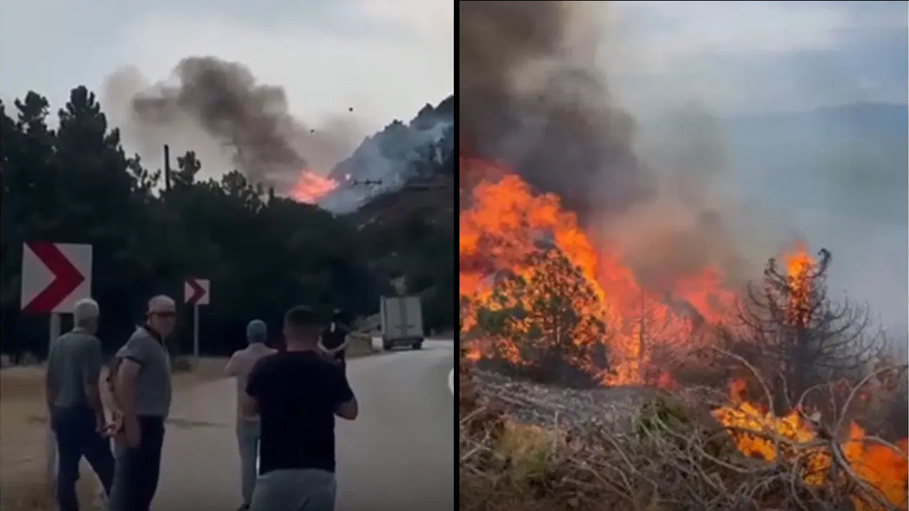 Isparta'da otluk alanda başlayan yangın ormana sıçradı!