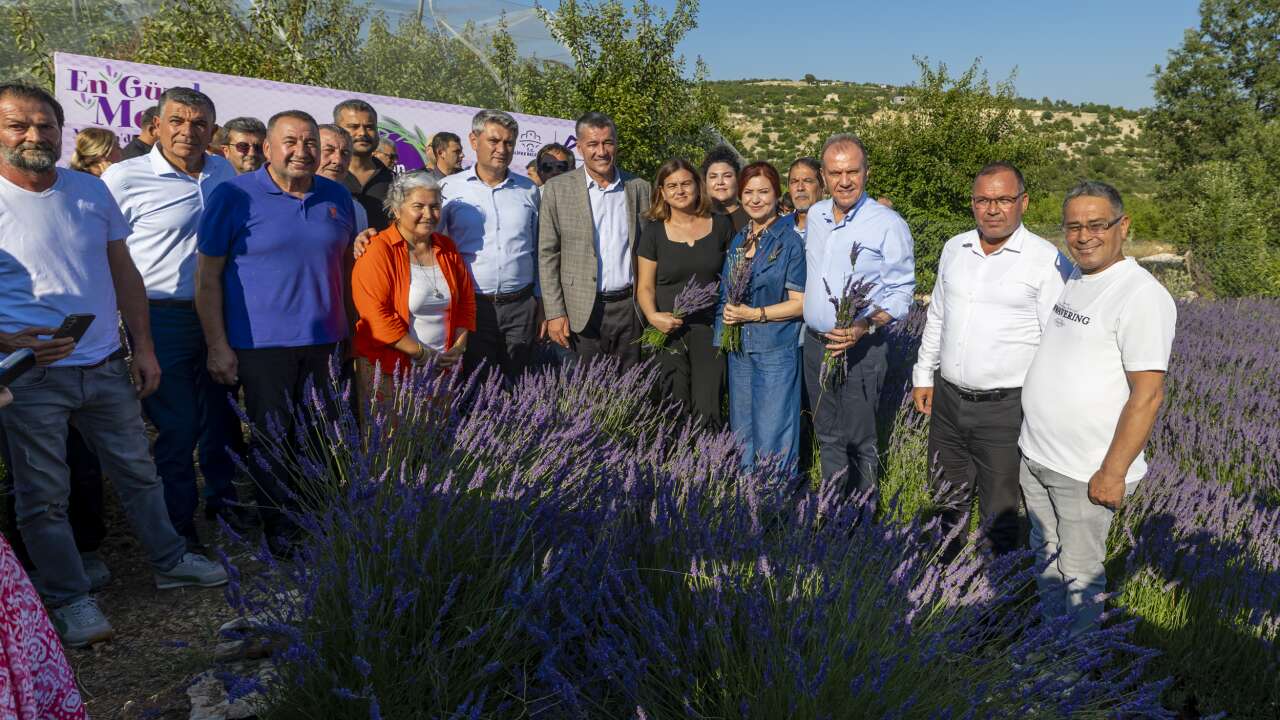 Lavanta tarlalarında hasat coşkusu! Seçer: Katma değerli üretimle kalkınacağız
