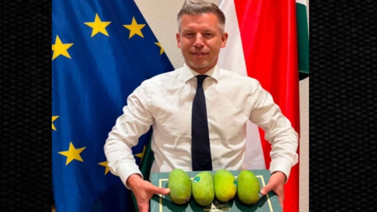 NATO hediyesi gündemde: Başbakandan Erdoğan'a mango göndermesi!