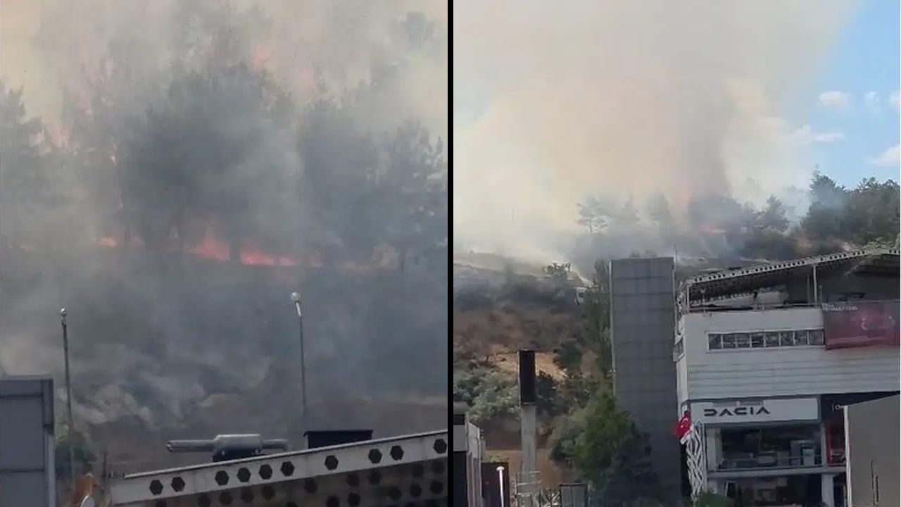 ODTÜ Ormanı’nda yangın paniği!