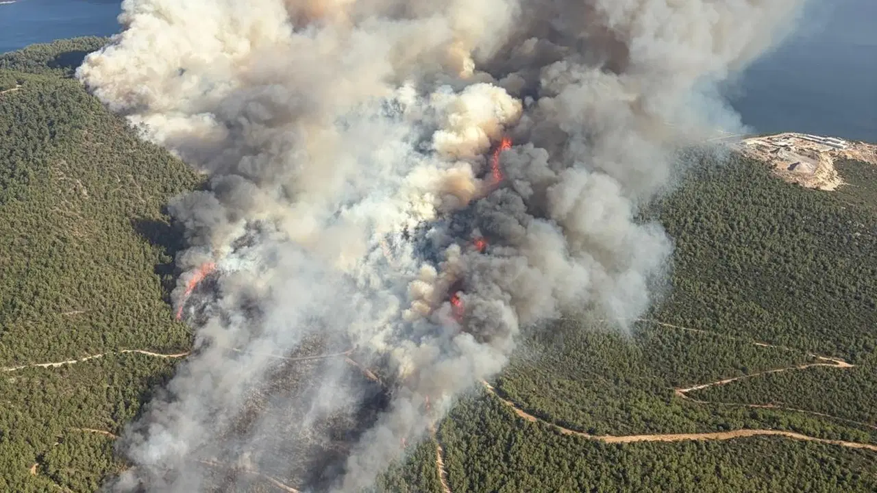 Muğla’da 3 ayrı noktada yangın: Alevler, ormanlık alana yaklaşıyor