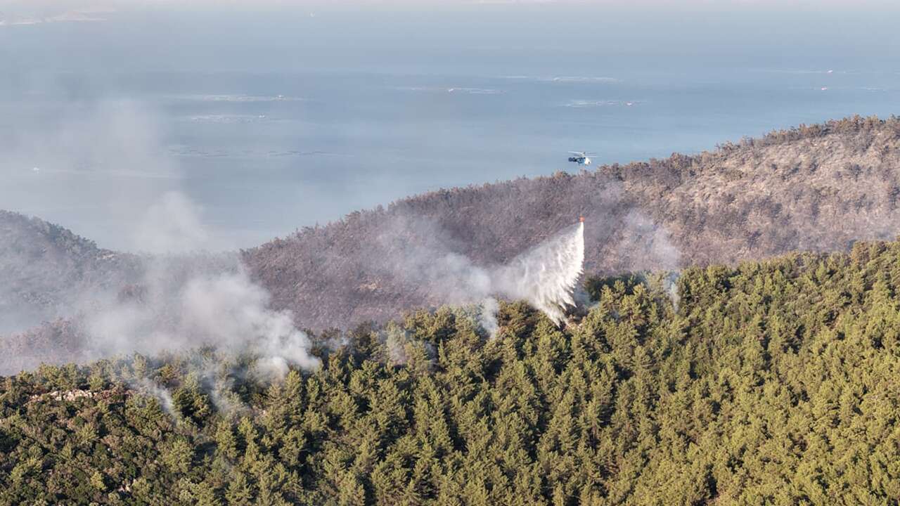 Muğla'daki yangın büyük ölçüde kontrol altına alındı