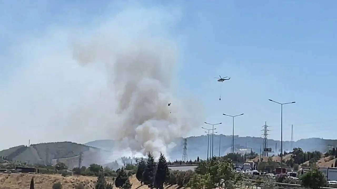 İzmir'de yangın ormana sıçradı: Fabrikadaki yangın kontrol altında