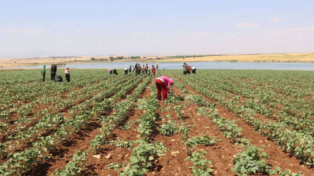 Çiftçiye kötü haber: Yıllık artış yüzde 60'ı aştı
