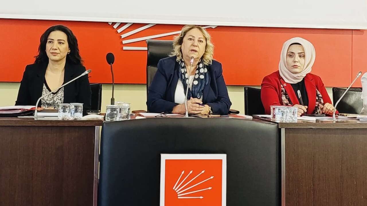 Butlan yönetiminin kadın kollarından Sevgi Kılıç'a yönelik cinsiyetçi saldırıya tepki