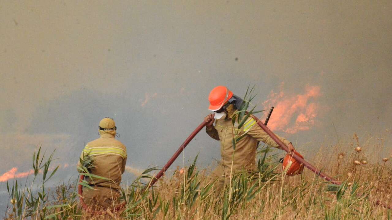 Orman yangını riski artıyor: OGM'den kritik 4 günlük uyarı