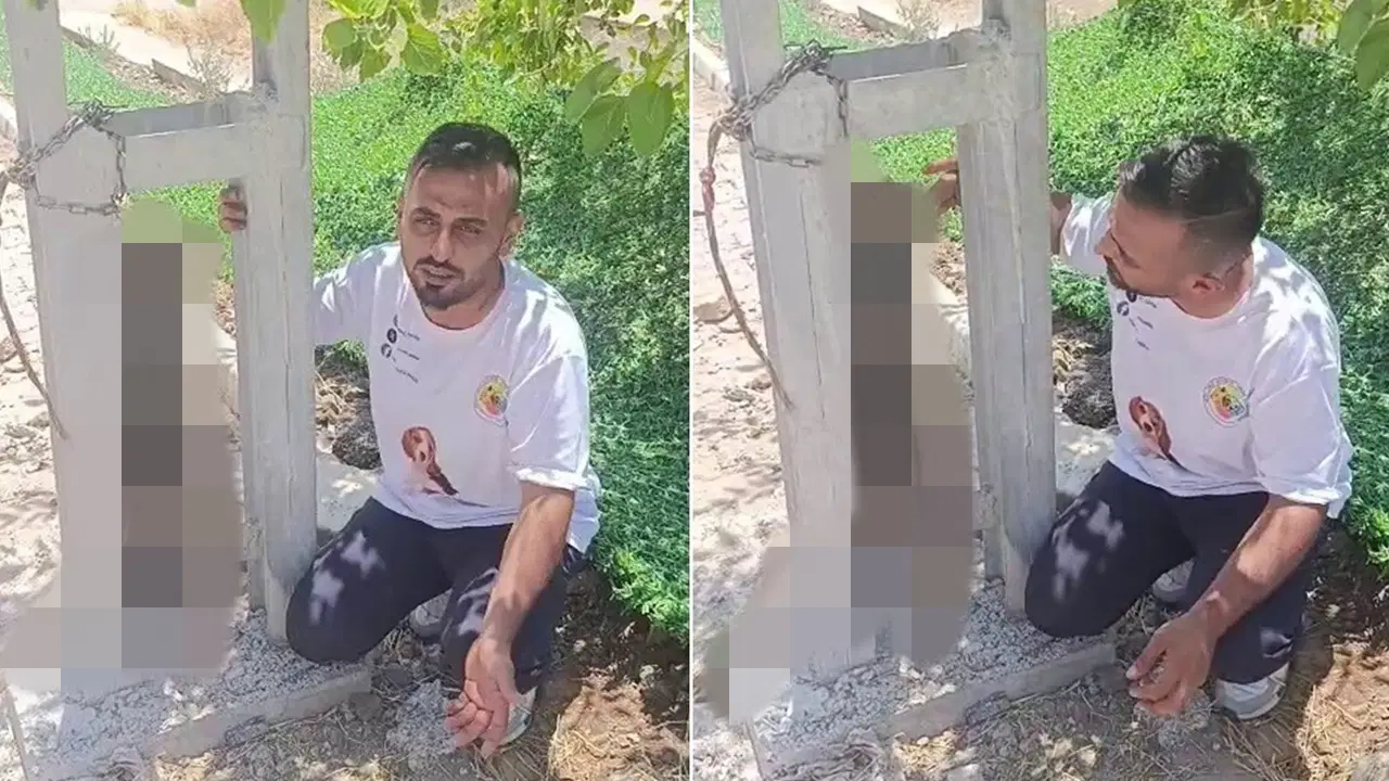 Hatay'da kan donduran canilik: Sahipli köpeği zehirleyip direğe astılar