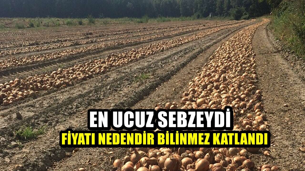 20 lirayken alan yoktu!  Marketlerde fiyatı 70 liraya kadar dayandı