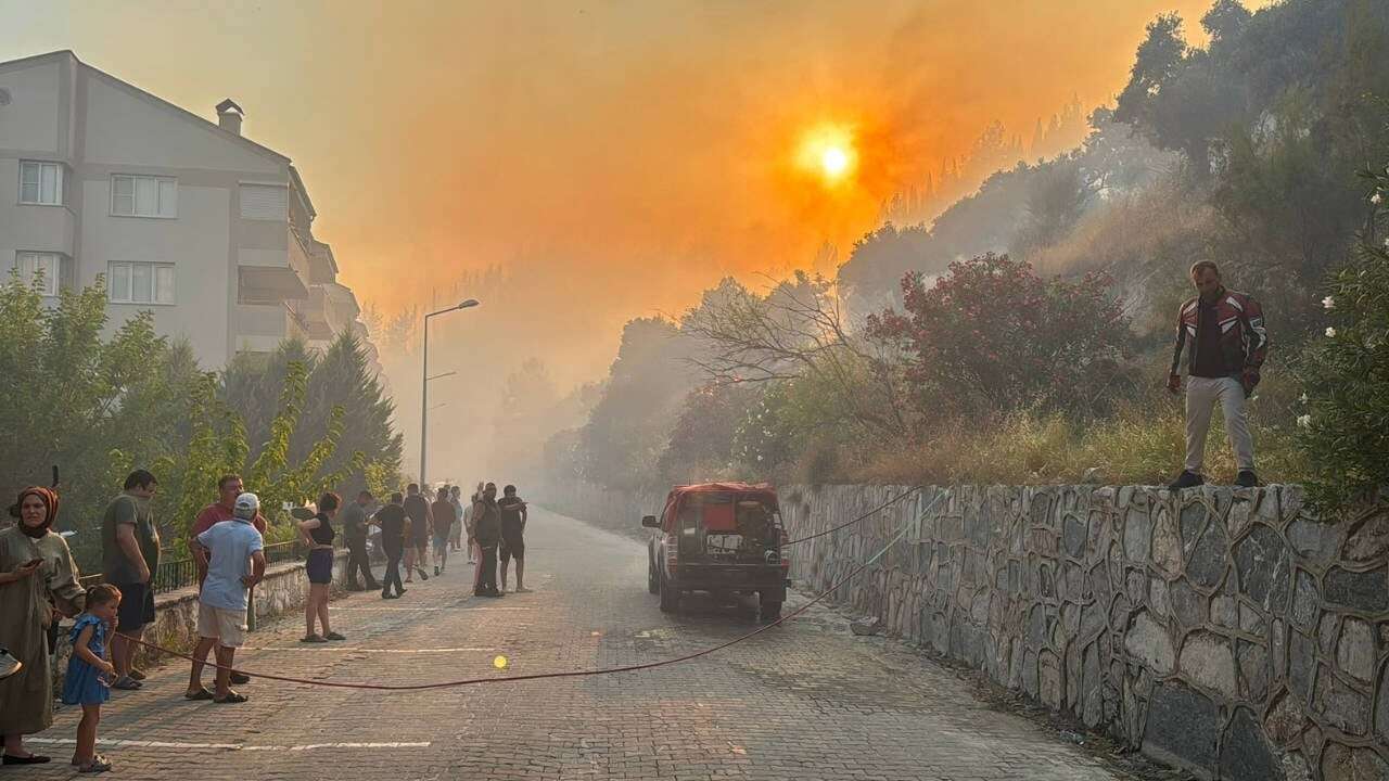 Aydın'da zeytinlik alandaki yangında 10 hektarlık alan zarar gördü!