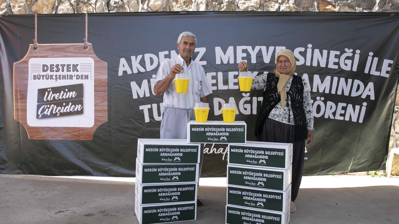 Mersin'de Akdeniz meyve sineğiyle mücadele : Feromon yapışkanlı tuzaklar
