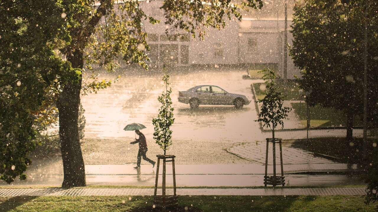 Üsküp’ü Fırtına Vurdu: Binden Fazla İhbar, Yüzlerce Devrilen Ağaç